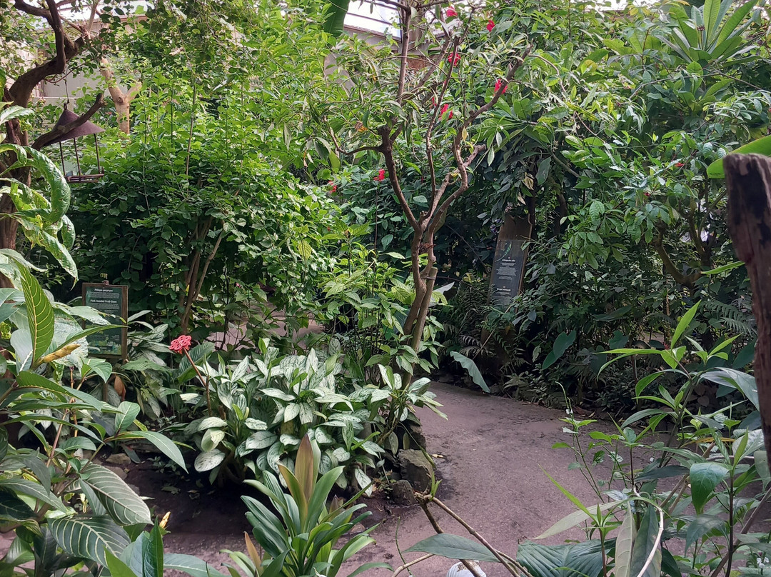 Naturospace-翁弗勒尔必去景点