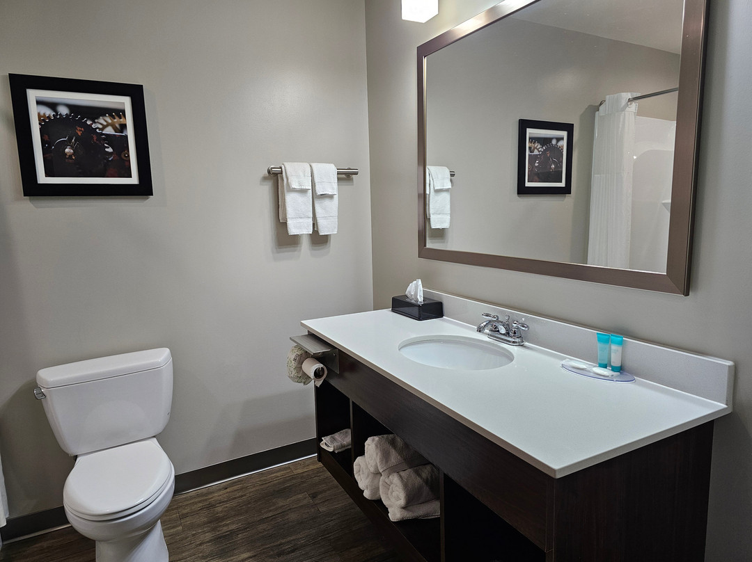 The Mulberry Hotel主图