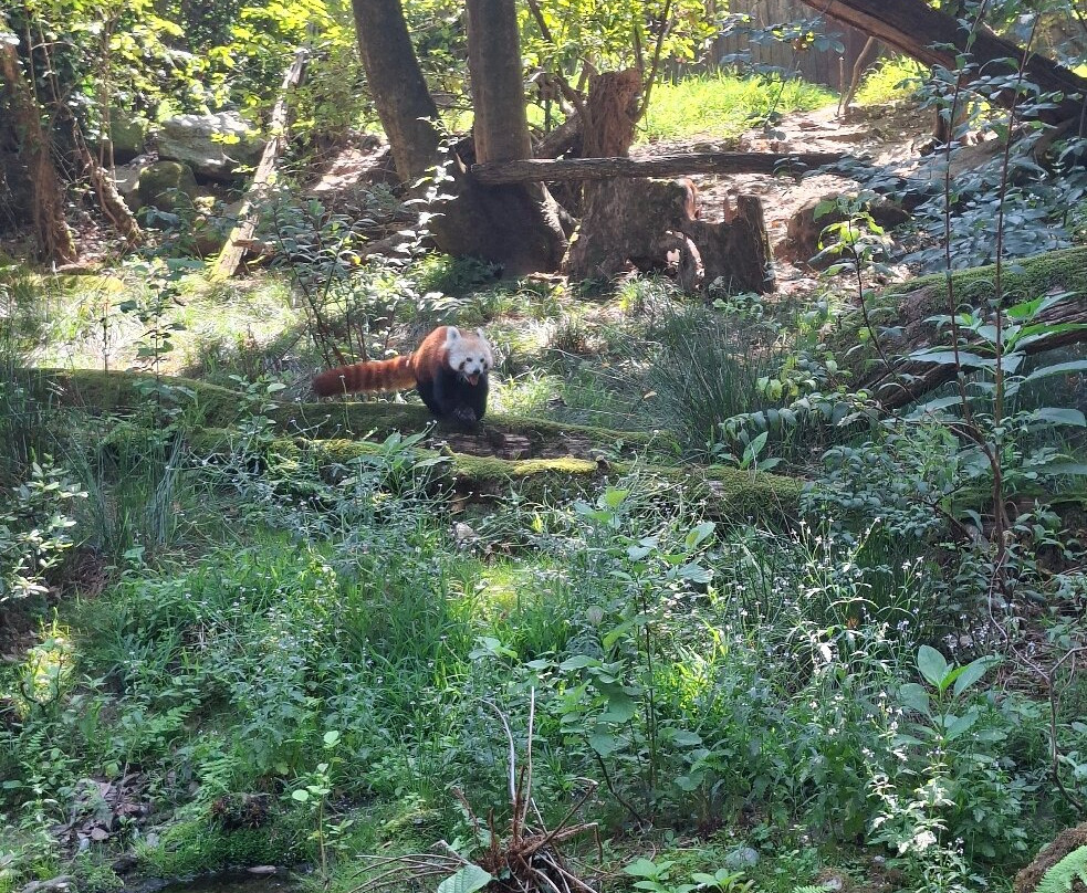 Parco Faunistico La Torbiera-Agrate Conturbia必去景点