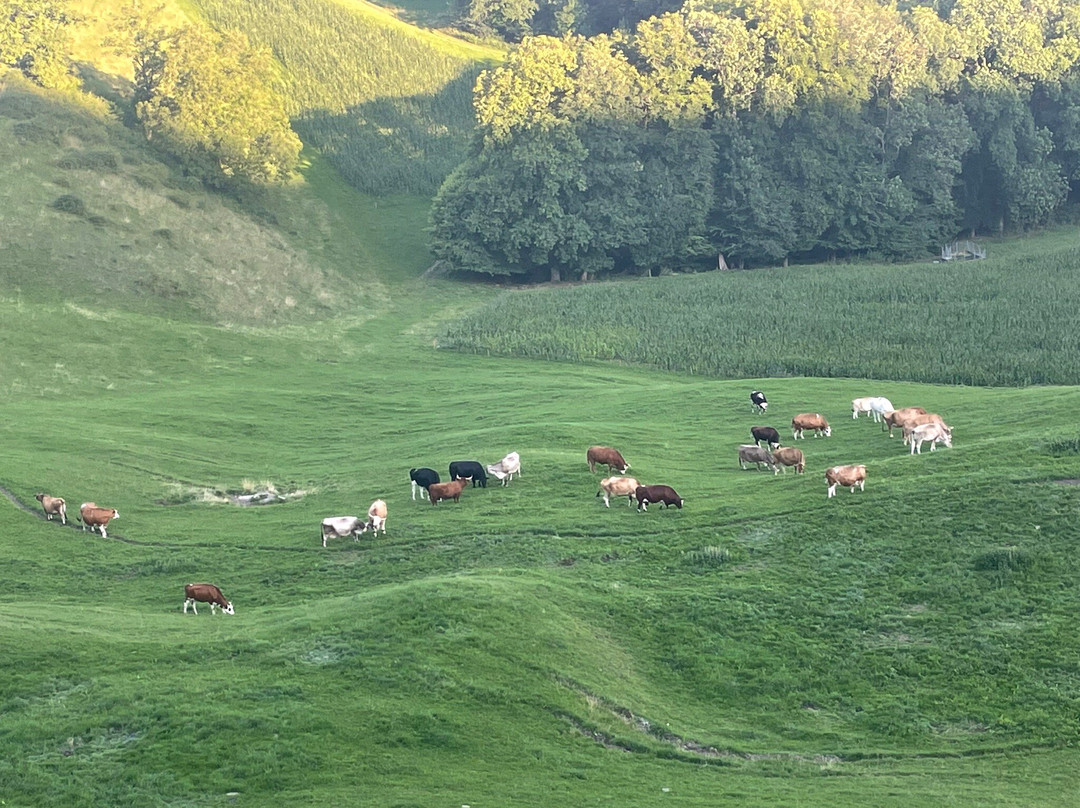 Bad Ramsach Quellhotel主图