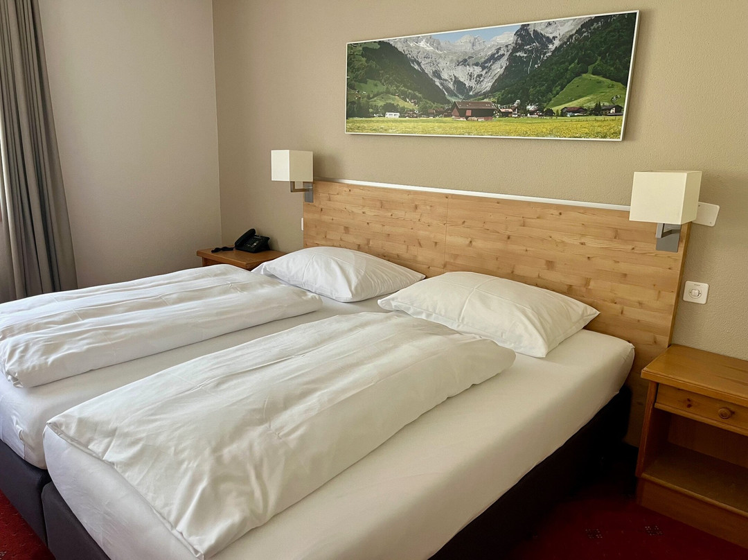 Hotel Sonnwendhof Engelberg主图