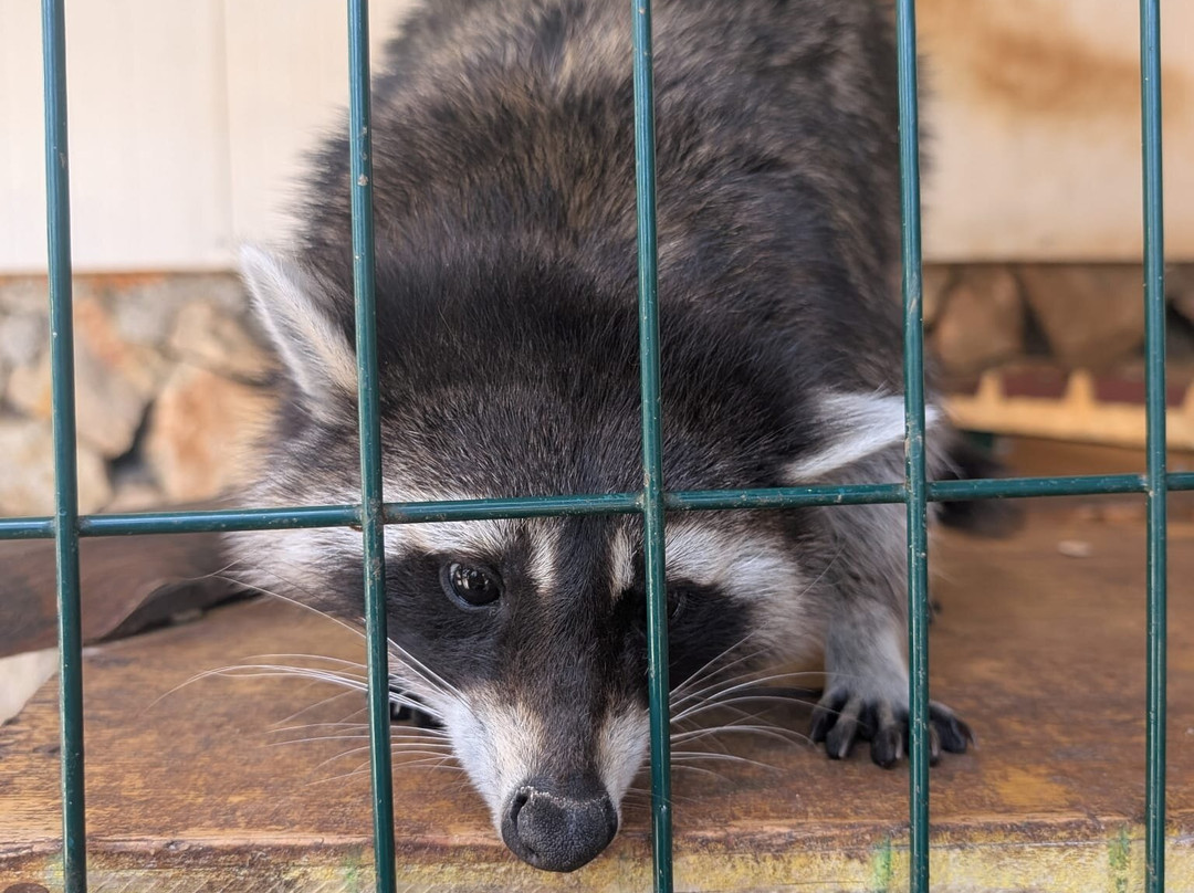 Ranch Aryen-Sutorina必去景点