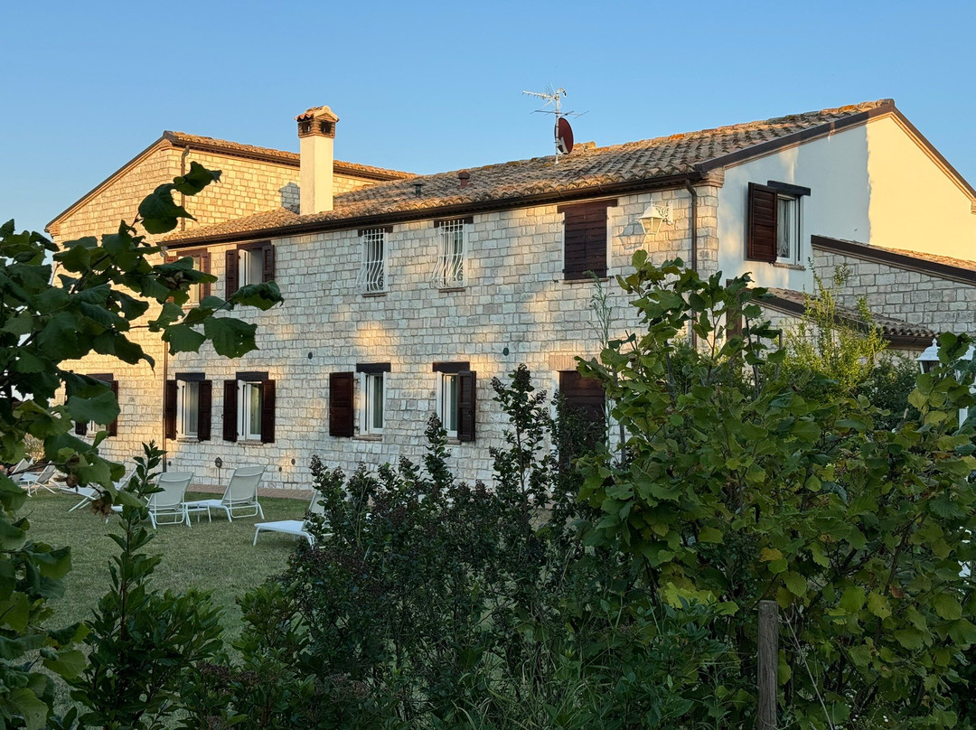 Alle Pendici del Conero主图