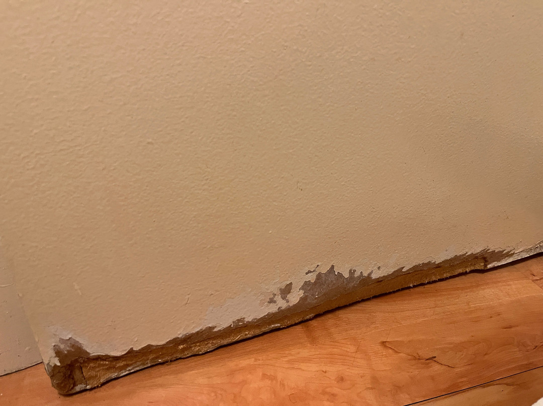 Red Roof Inn Chicago - O'Hare Airport / Arlington Hts主图