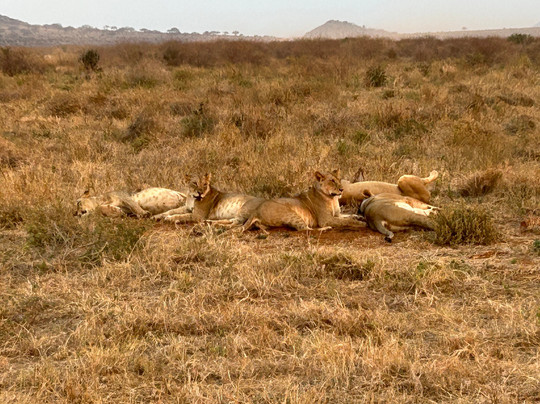 Zimba tours and safaris-瓦塔木必去景点