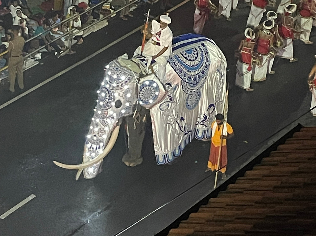 Elgant Island Tours-Katana必去景点