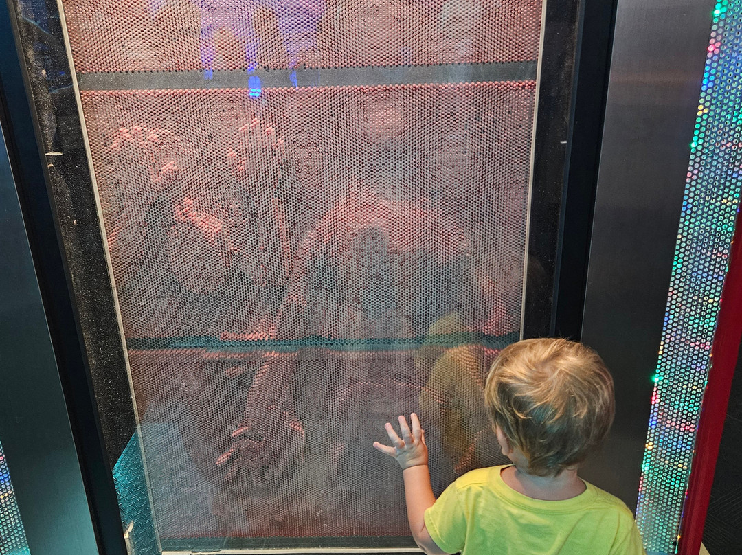 WonderWorks-布兰森必去景点