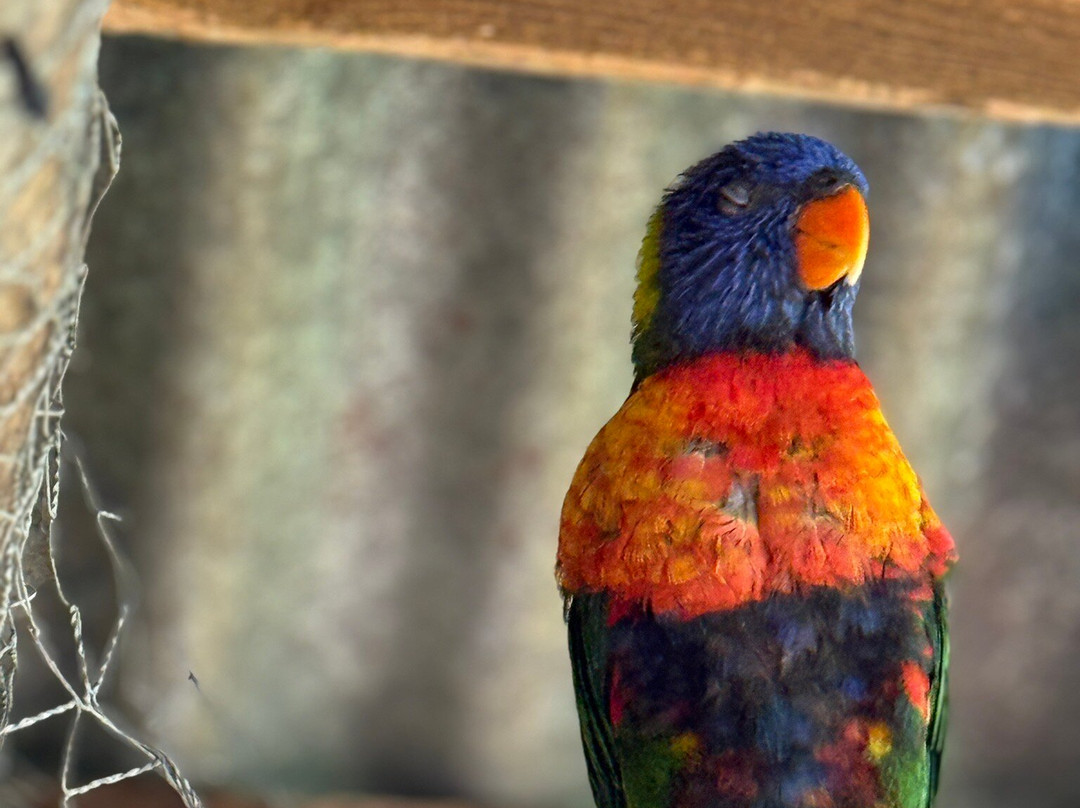Vogelpark Avifauna-Alphen aan den Rijn必去景点