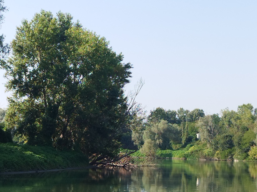 Navigare in Lombardia-Pizzighettone必去景点