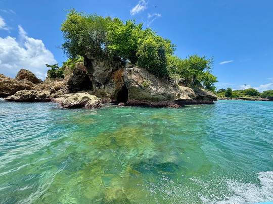 Experience Adventure Time Tobago-多巴哥必去景点
