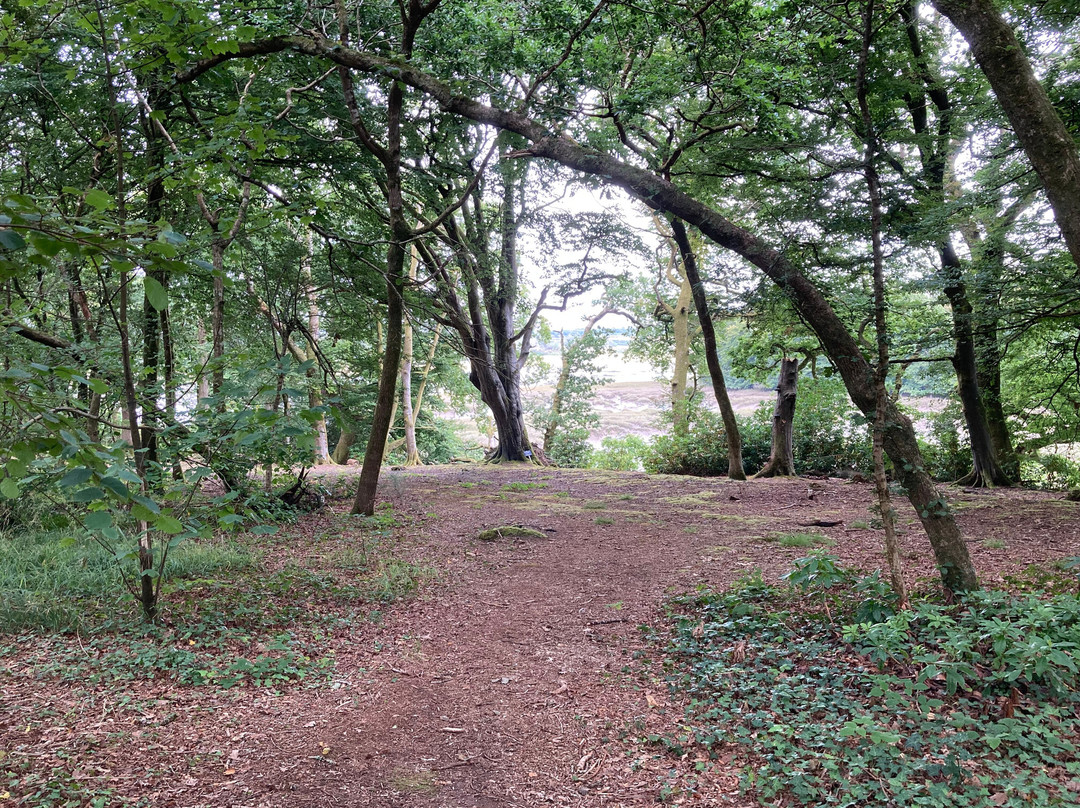 Upton Castle Gardens-Cosheston必去景点