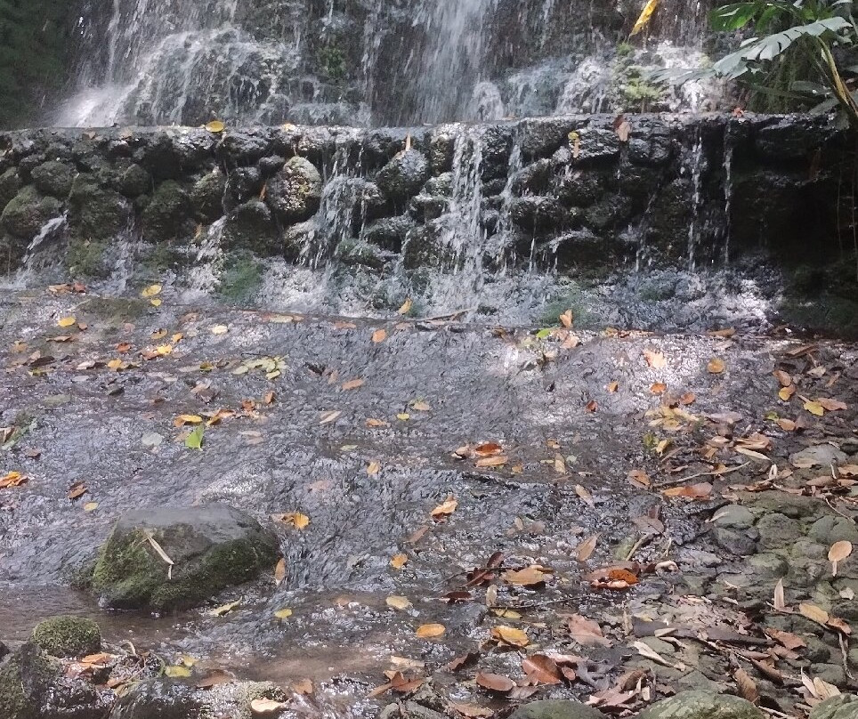 Parque Barranca Chapultepec-奎尔纳瓦卡必去景点