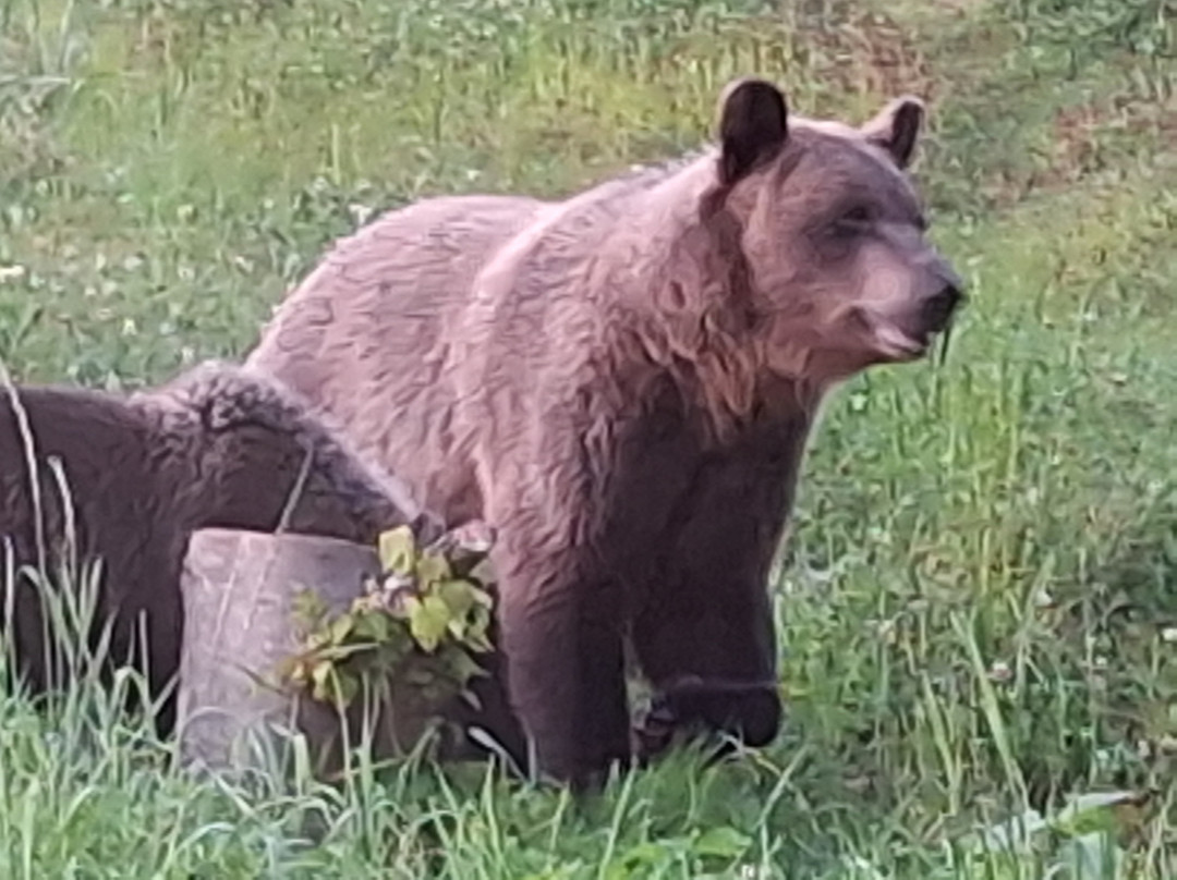 Natourest-Tudu必去景点