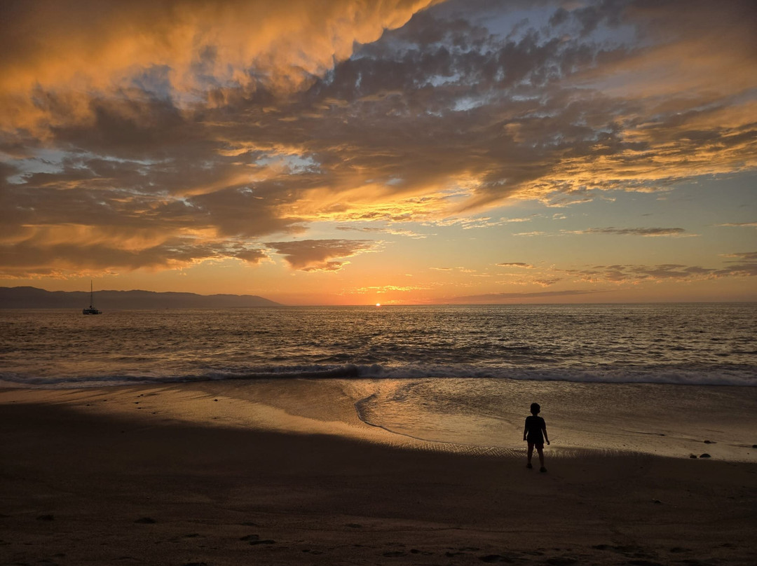 Nightlife Vallarta Tours