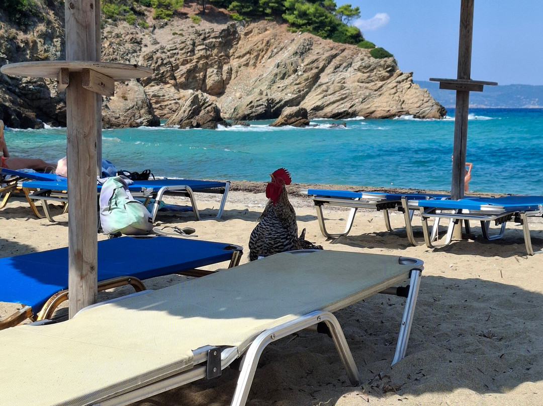 Mikros Aselinos Beach-斯亚索斯必去景点