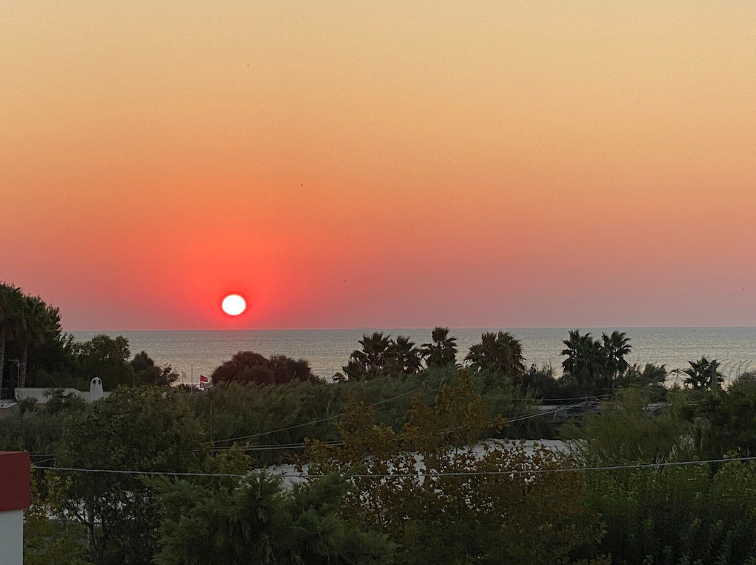 Oasiclub Hotel主图