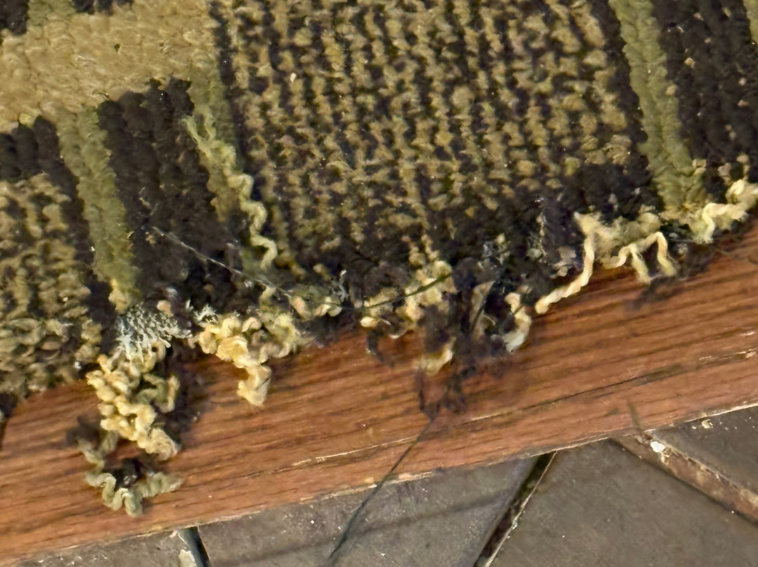 Comfort Suites Atlantic City North主图