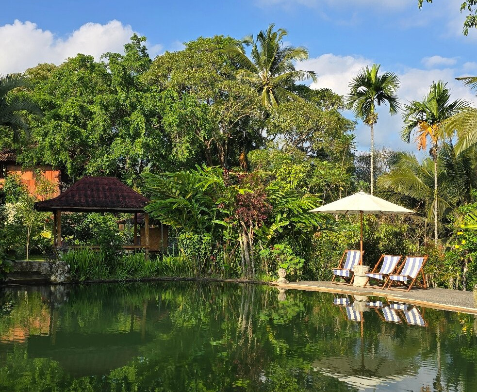 Rinjani Mountain Garden主图