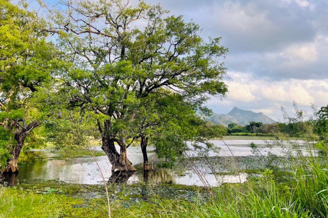 Kaludiya Pokuna Nature Walks-锡吉里亚必去景点