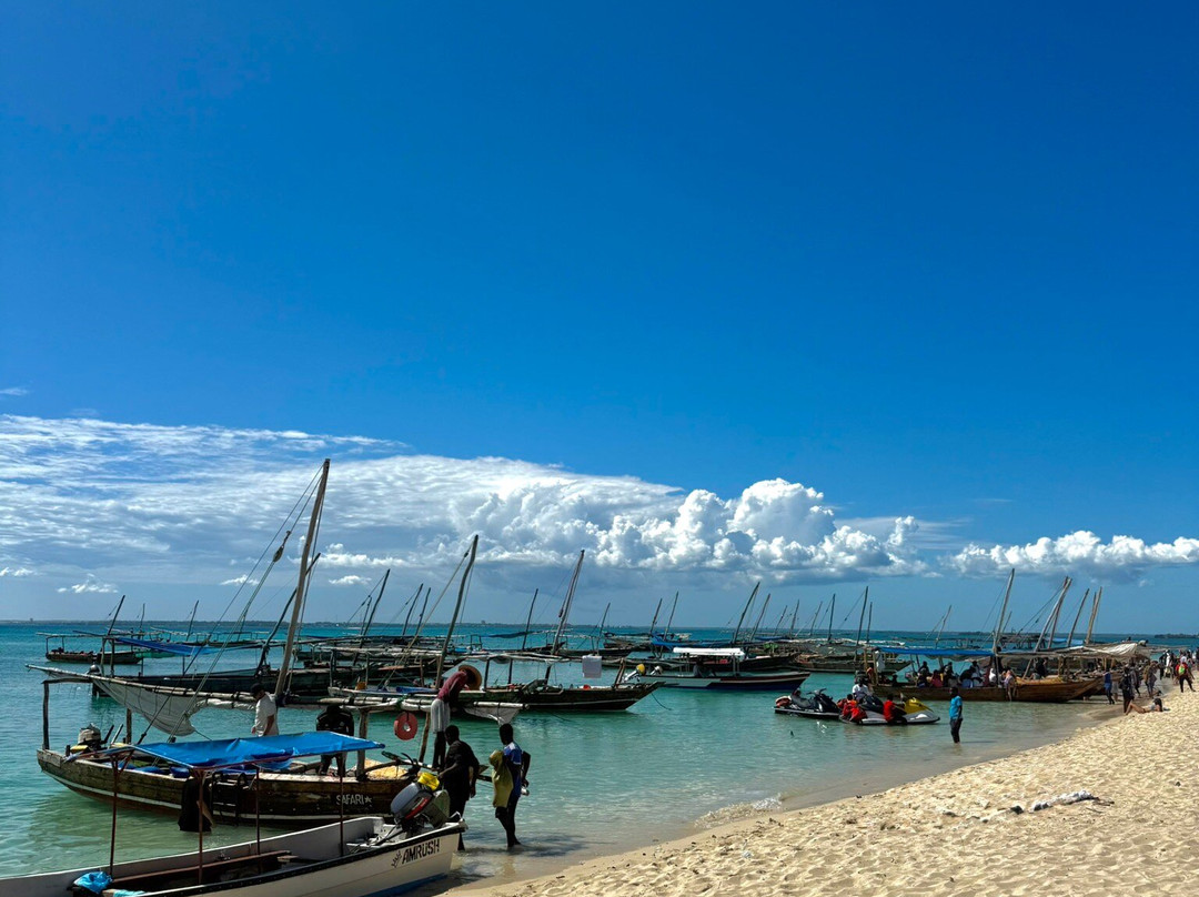 Suley Taxi Driver Zanzibar and Tours-孥归必去景点