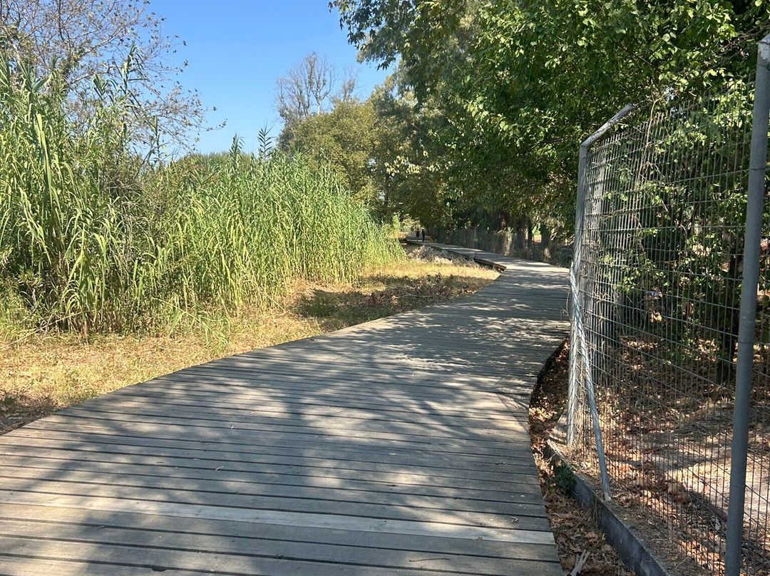 Lake Agias-Agia必去景点