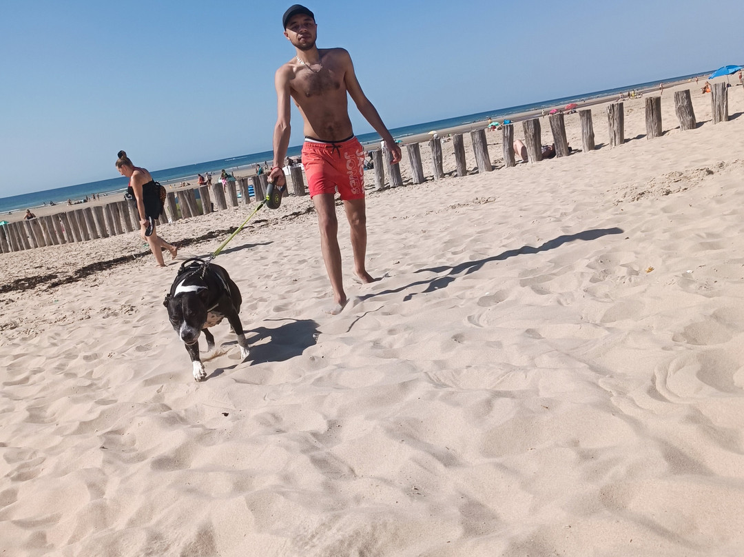 Plage Naturiste De Berck
