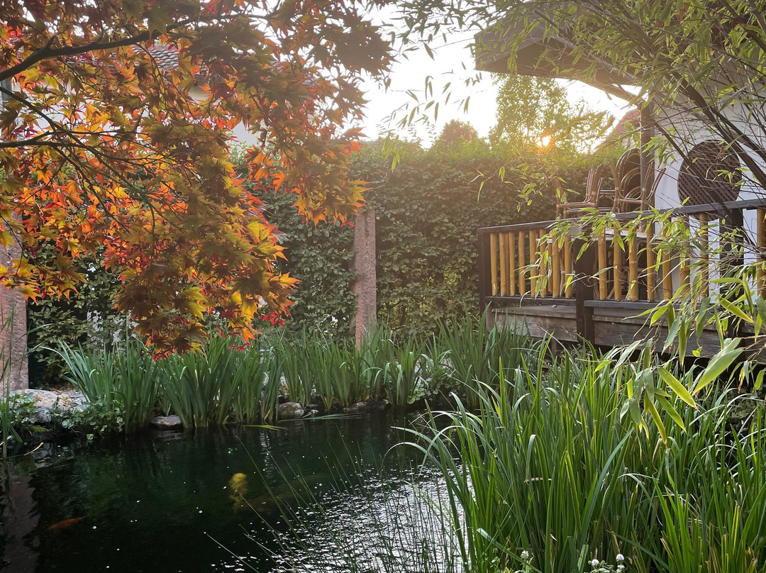 Wellness- Und Gartenhotel Heusser主图