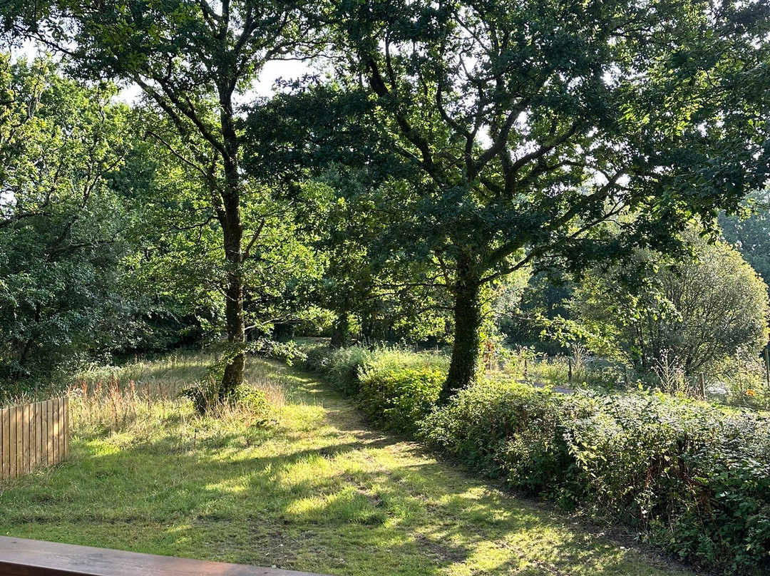 Legge Farm Coarse Fishery-Highampton必去景点