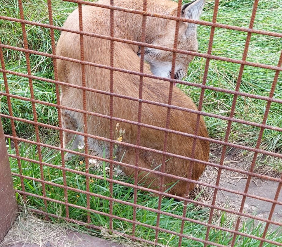 Blåvand Zoo-Blaavand必去景点