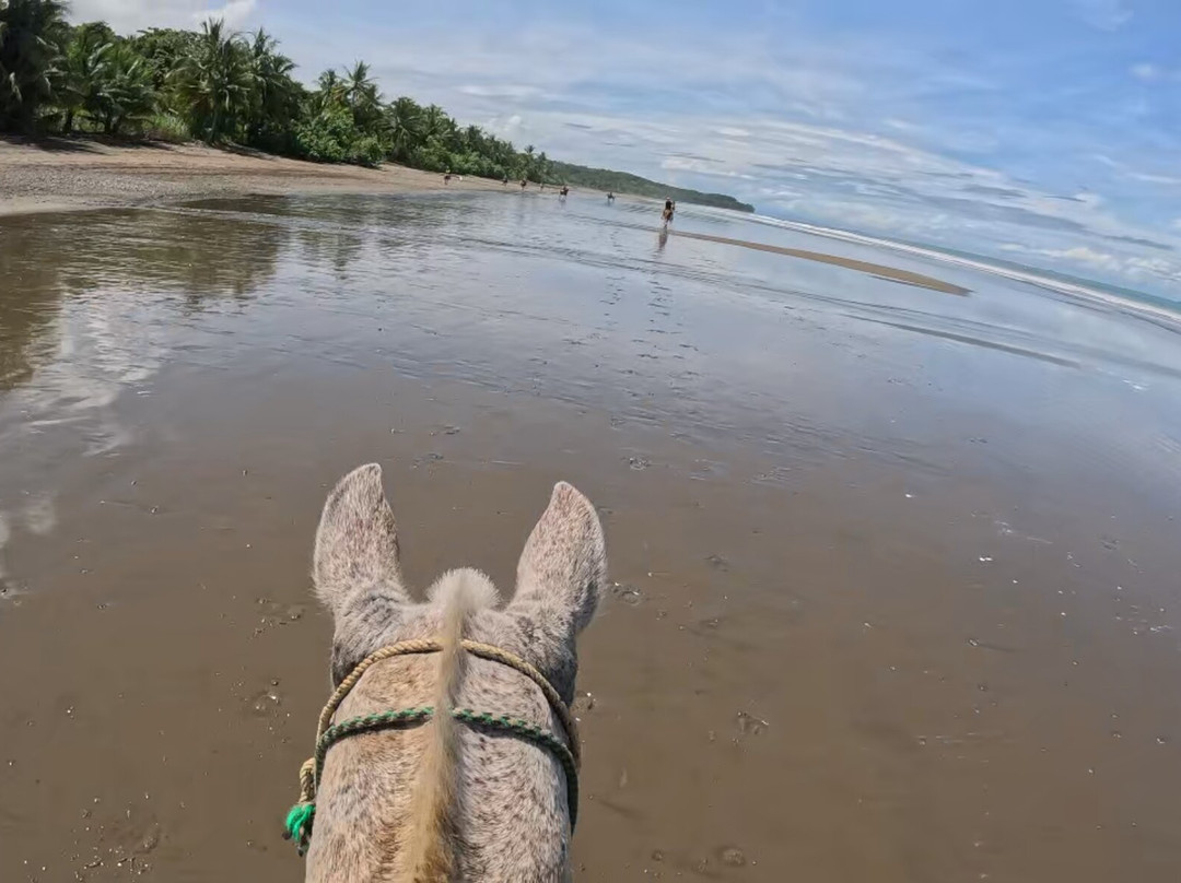 Rancho La Merced National Wildlife Refuge-乌维塔必去景点