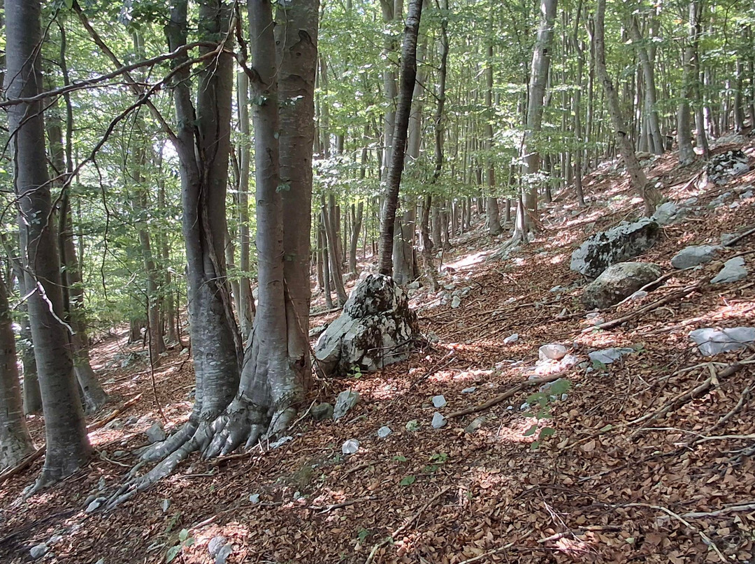 Parco Tematico della Grande Guerra - Bombaschgraben-Pontebba必去景点