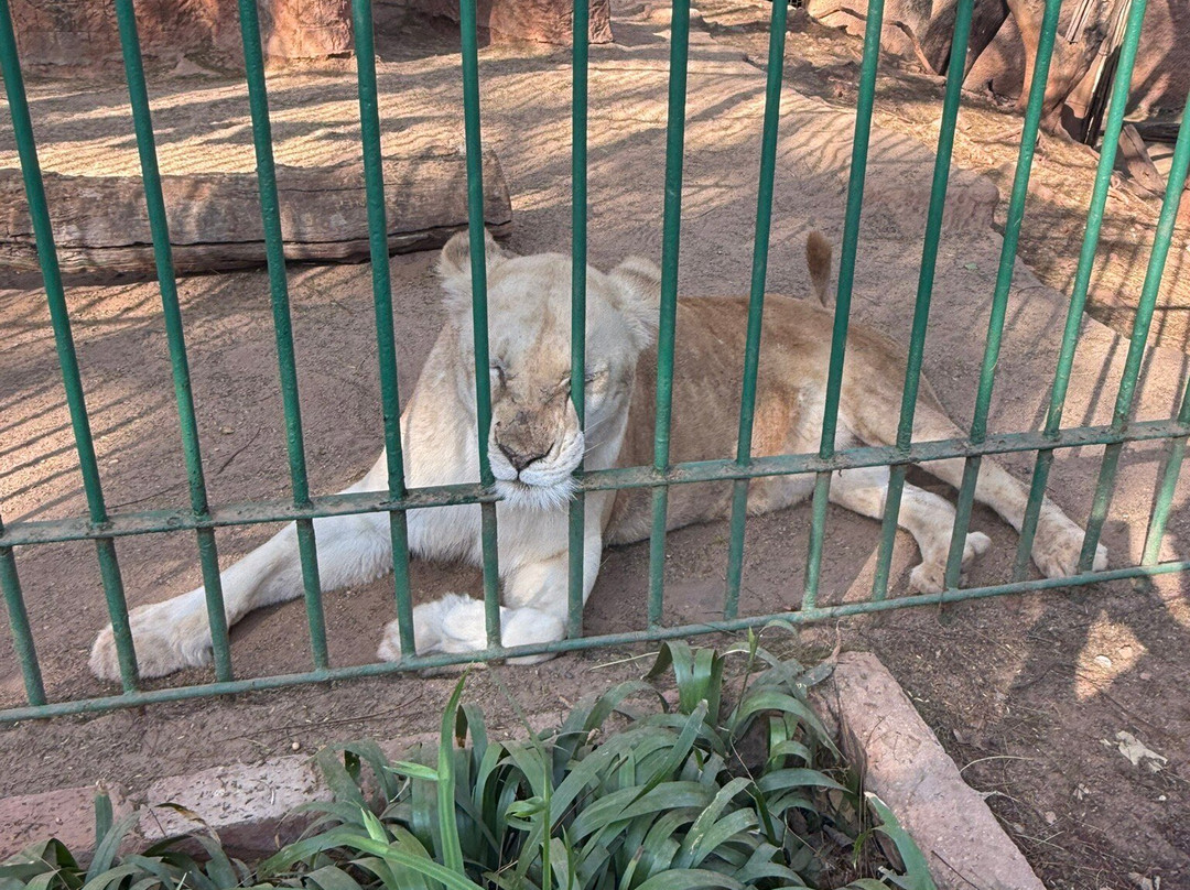 Hartbeespoort Dam - Snake and Animal Park-哈特比斯普特必去景点
