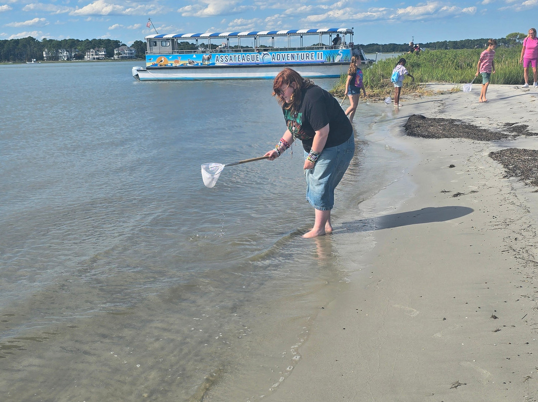 Assateague Adventure-大洋城必去景点