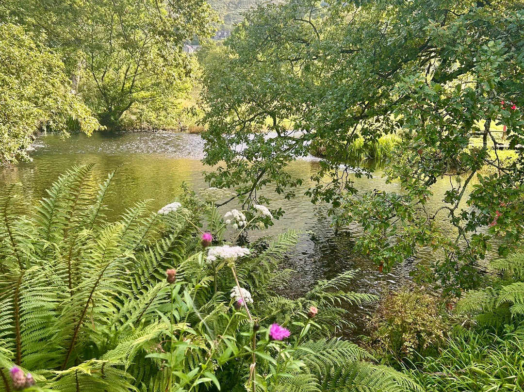 Old Water View主图