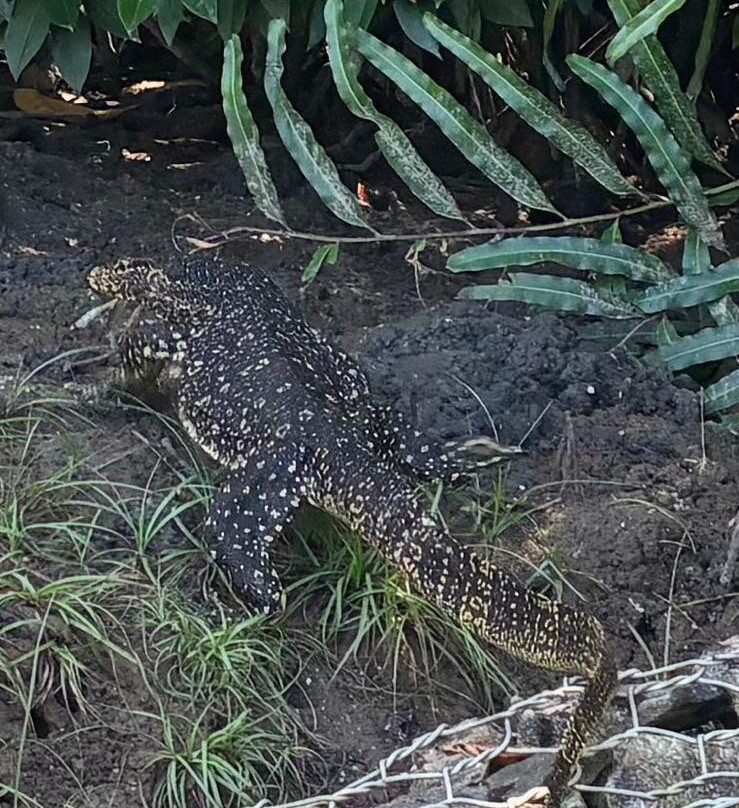 Travel with Samantha-尼甘布必去景点