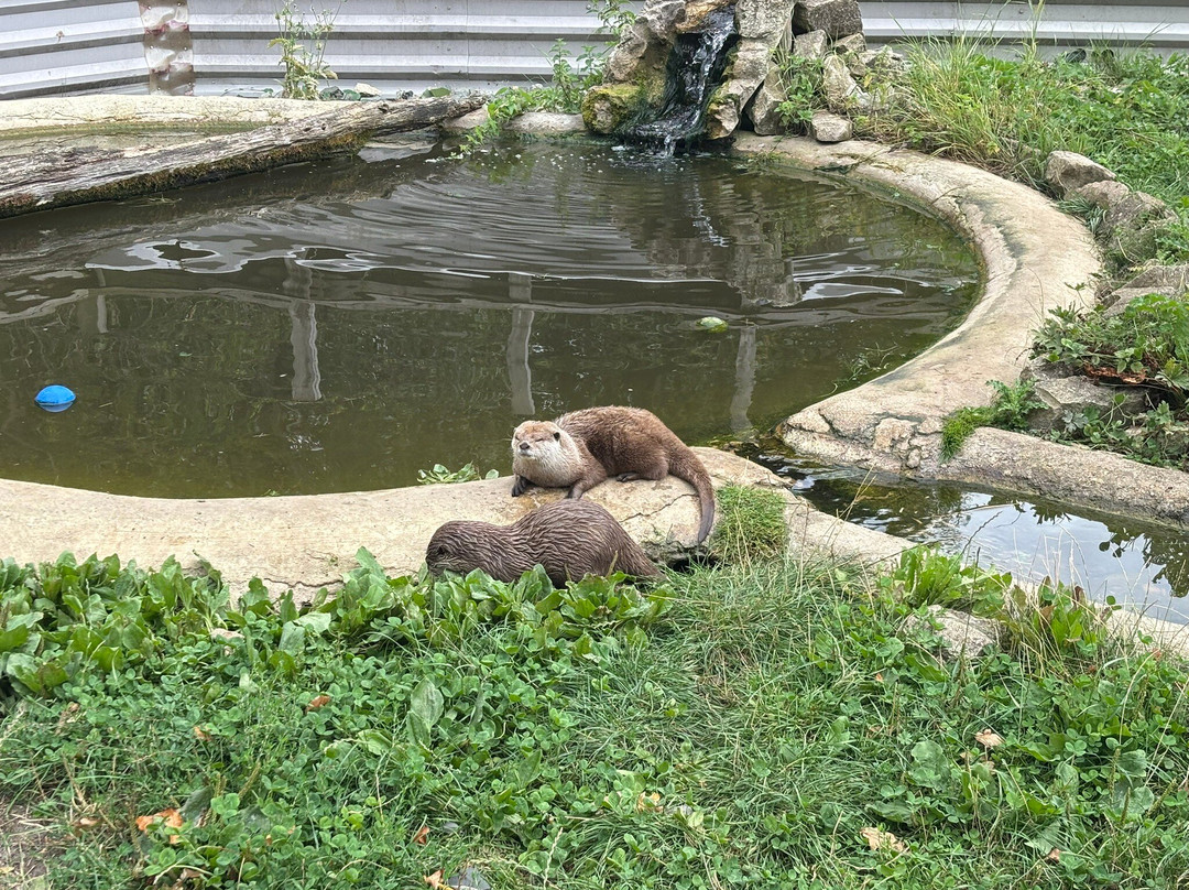 Studley Grange Garden And Leisure Park-Wroughton必去景点