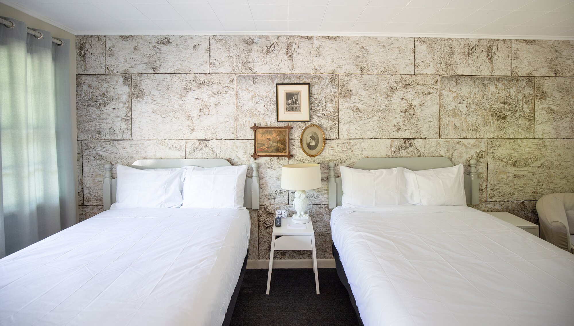 The Little Lion-客卧