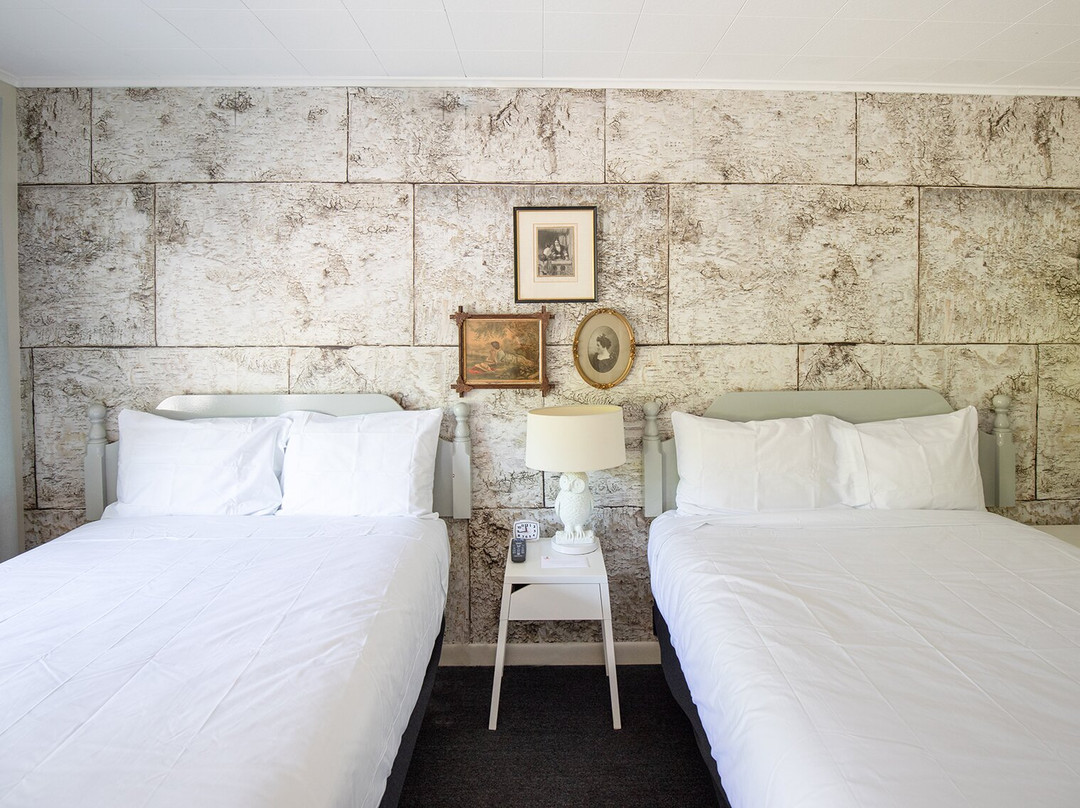 The Little Lion主图