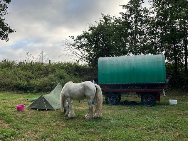 White Horse Gypsy Caravans-马尔堡必去景点