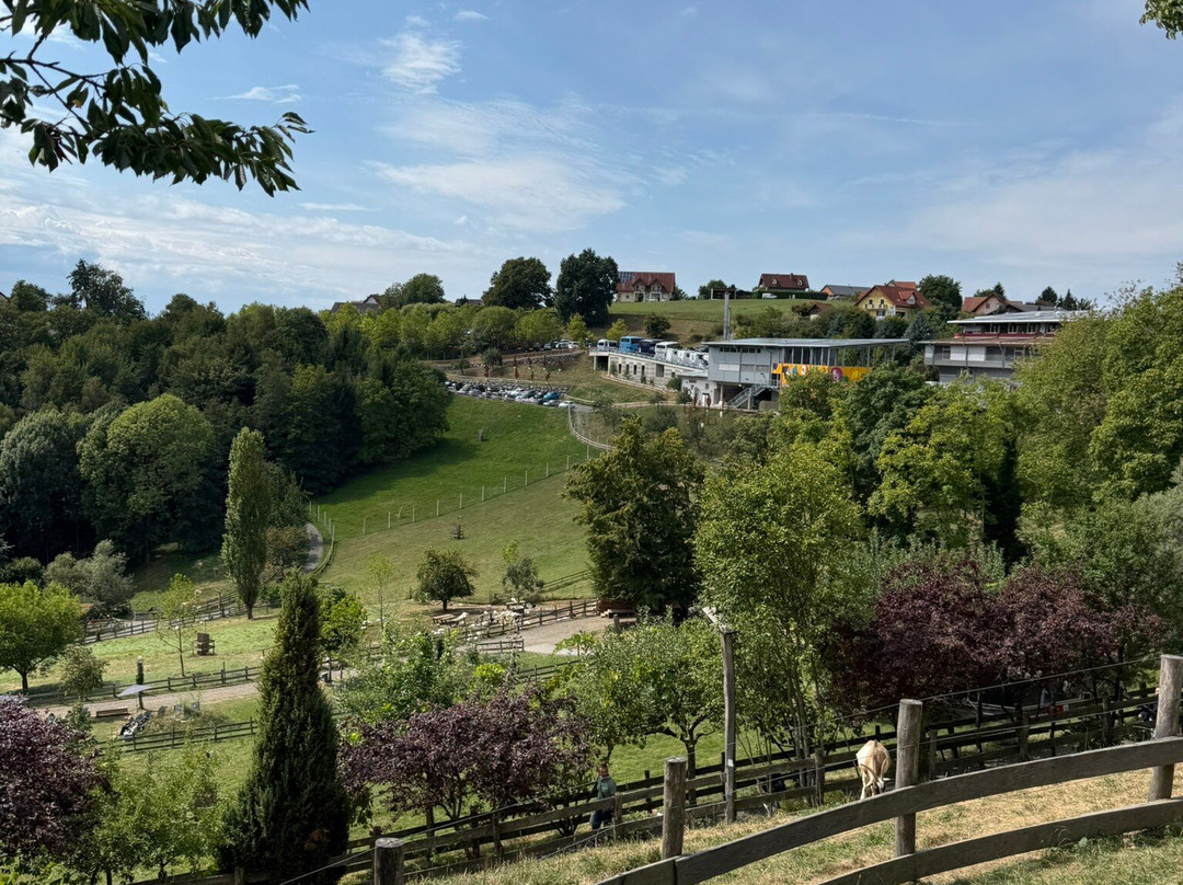 Zotter Schokoladen-Riegersburg必去景点