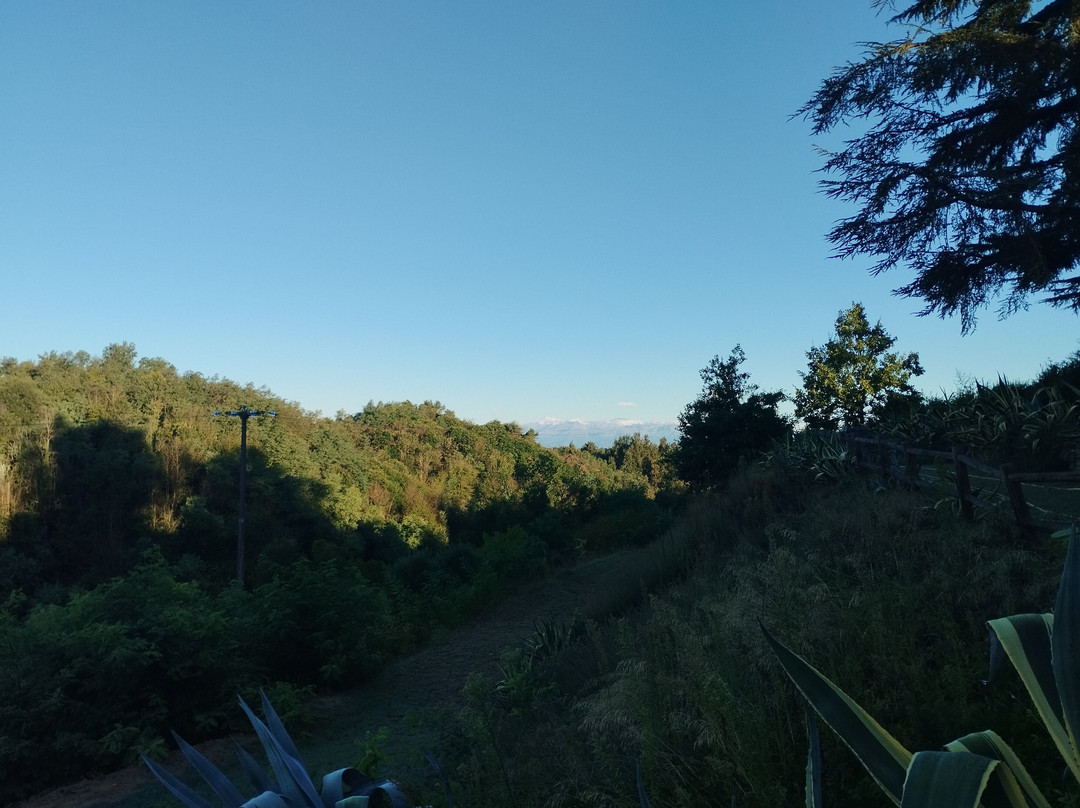 Agriturismo Piccolo Principe主图