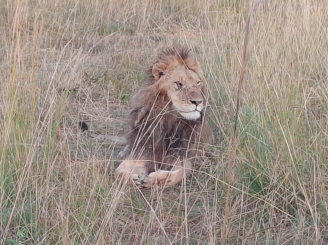 Safari Monks-Bandhavgarh National Park必去景点