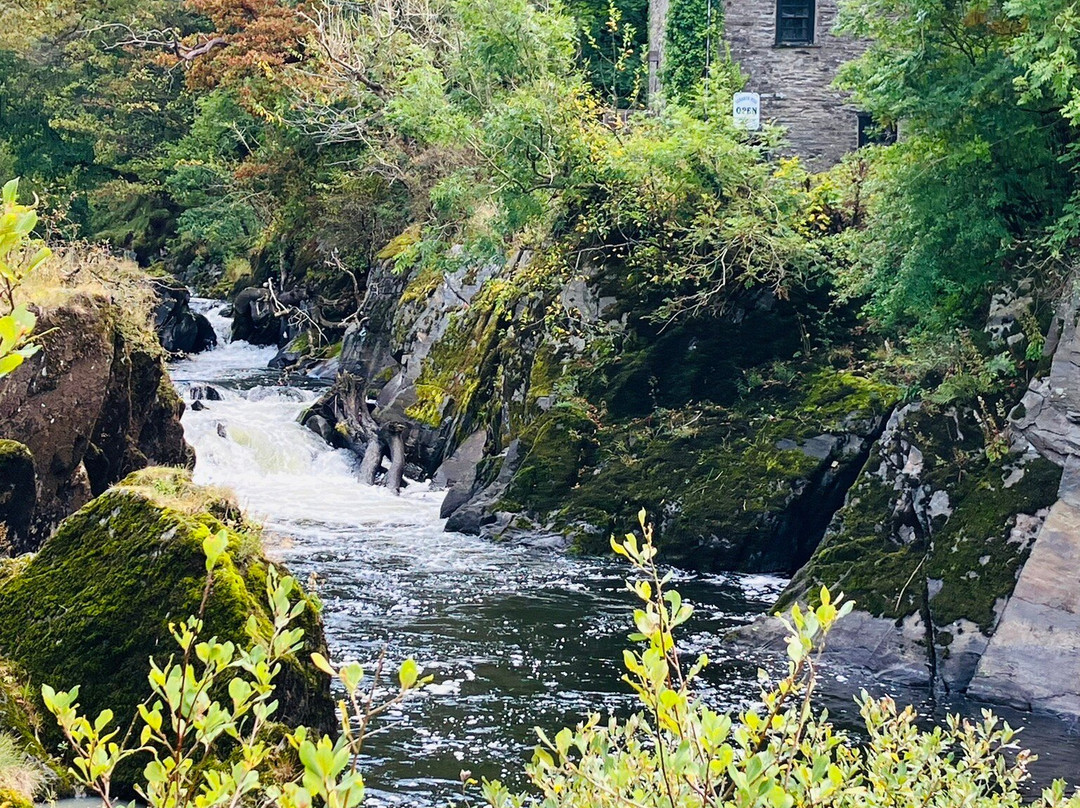 Cenarth Falls-Cenarth必去景点