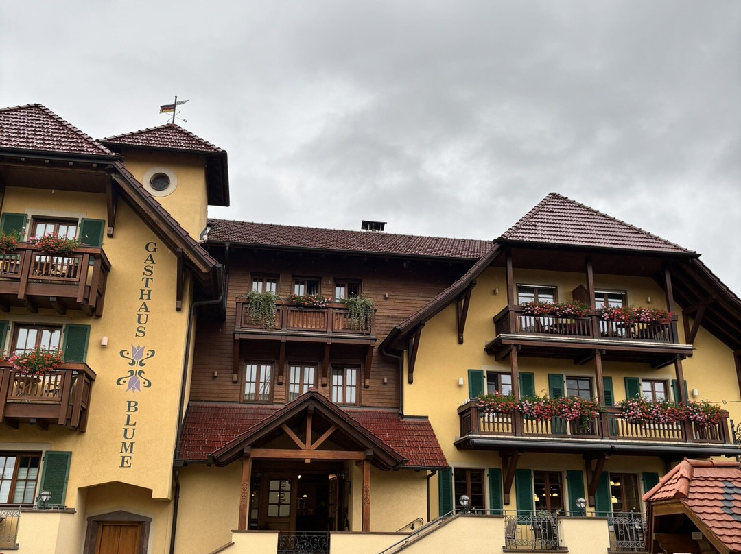 Hotel Gasthaus Mosers Blume主图