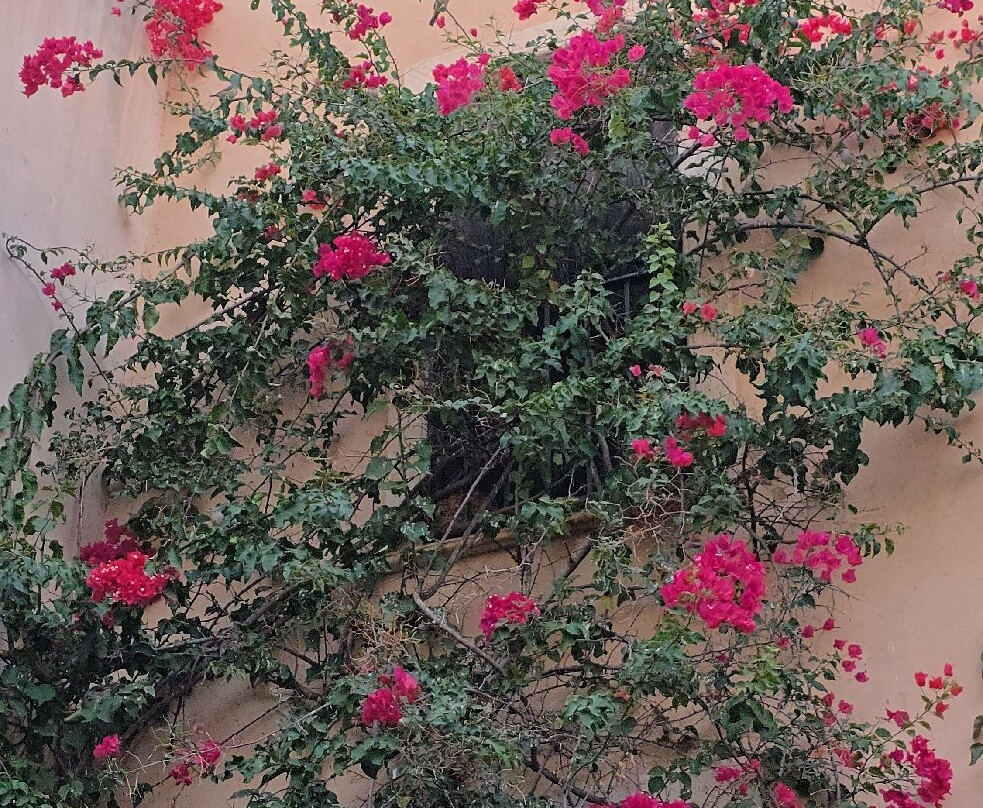 Casa del Patio主图