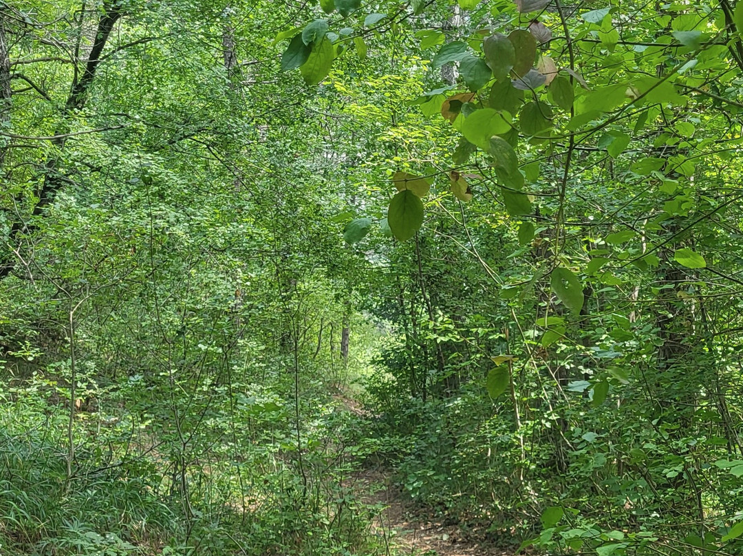 Sentiero del Cuore-Scanno必去景点