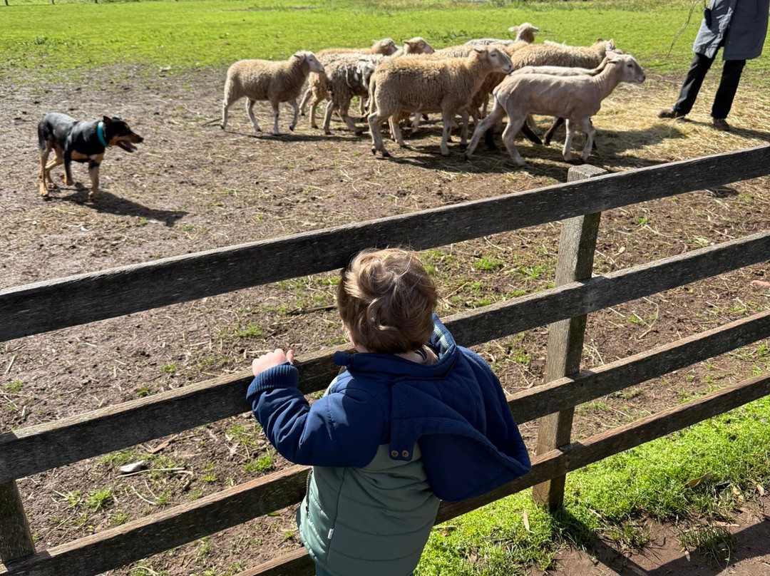 Churchill Island-菲利普岛必去景点