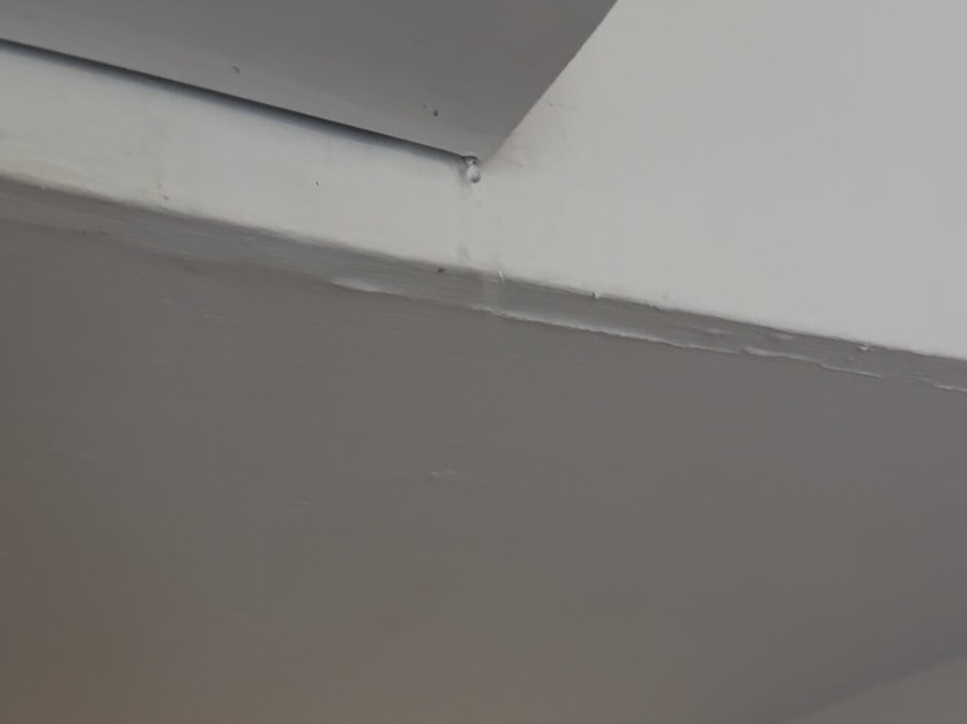 岛民得可麦仑酒店&度假村 - 全包主图