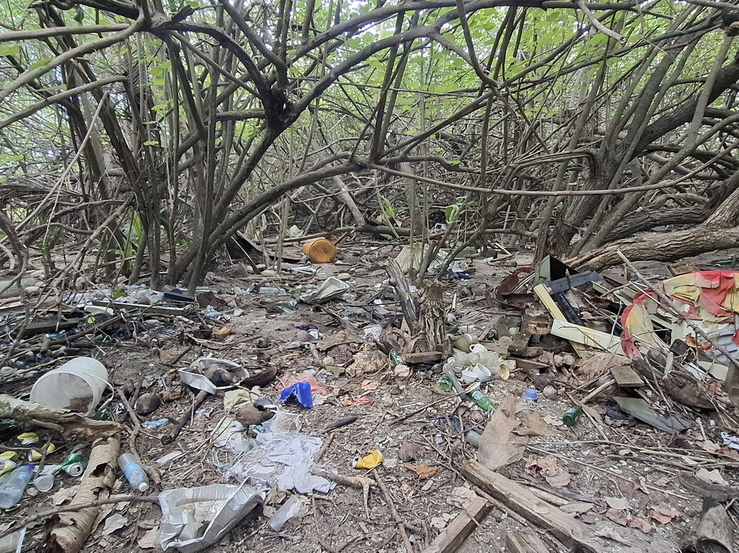 Pangaimotu Island Resort主图