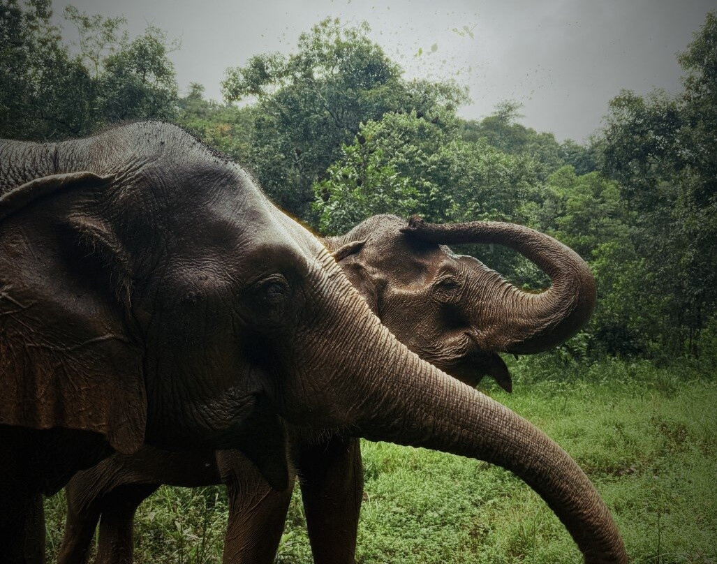 Mondulkiri Project-森莫诺隆必去景点